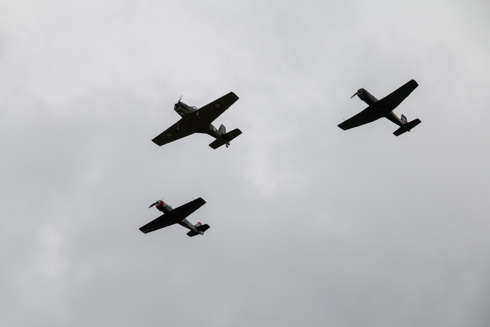 Gliding Tasmania — photograph 56